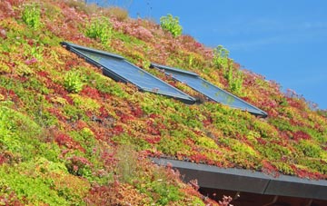 Shardlow living roof systems