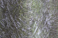 Shardlow fibreglass roof work